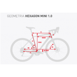Kross Hexagon Mini 1.0 2021 Grafitowy - Limonkowy - Srebrny Połysk