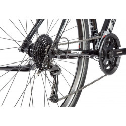 Leader Fox Toscana Gent 2021 niebieski