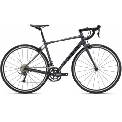 Giant contend 2 2022