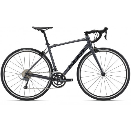 Giant contend 2 2022