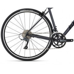 Giant contend 2 2022