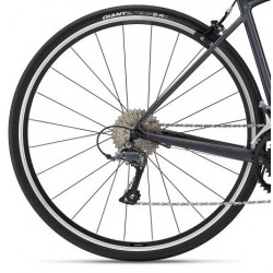 Giant contend 2 2022