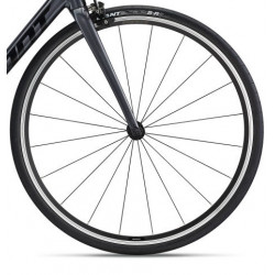 Giant contend 2 2022