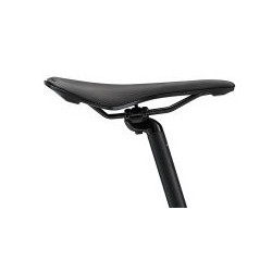 Giant contend 2 2022