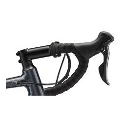 Giant contend 2 2022