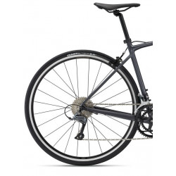 Giant contend 2 2022