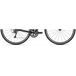 Giant contend 2 2022