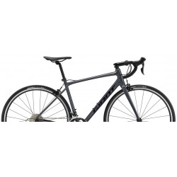 Giant contend 2 2022