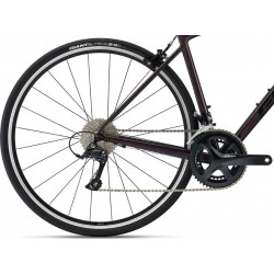 Giant contend 1 rosewood 2022