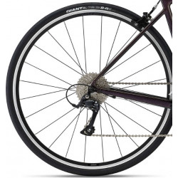 Giant contend 1 rosewood 2022