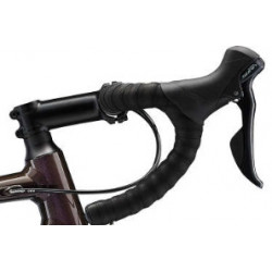 Giant contend 1 rosewood 2022