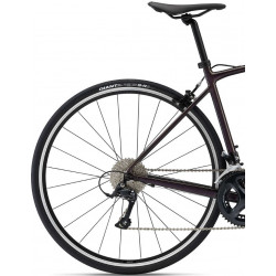 Giant contend 1 rosewood 2022