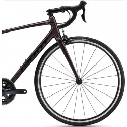 Giant contend 1 rosewood 2022