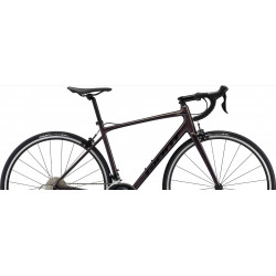 Giant contend 1 rosewood 2022