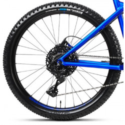 Dartmoor Sparrow Mullet niebieski 2022 + eBon