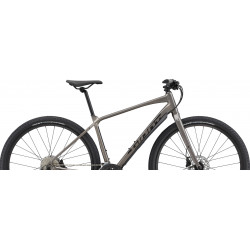 Giant toughroad slr 2 2022