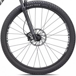 Specialized Rockhopper Expert 29 gloss oak green metallic