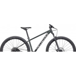 Specialized Rockhopper Expert 29 gloss oak green metallic