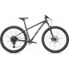 Specialized Rockhopper Expert 29 gloss oak green metallic
