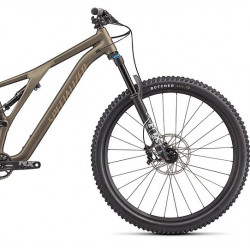 Rower górski Specialized Stumpjumper Comp 2023 szary / satynowy