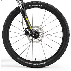 Merida Matts J.24 2022