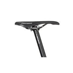 Accent Point NX Eagle 2023