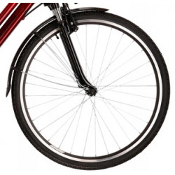 Kross Trans 1.0 damski rubinowy 2022