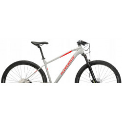 Kross level 4.0 szary pw sr gl 2023