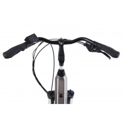 Rower elektryczny Barton TOURING EV-350 tytanowy