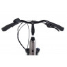 Rower elektryczny Barton TOURING EV-350 tytanowy