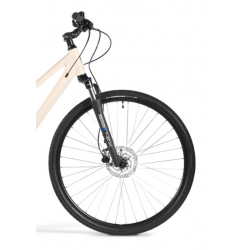 Merida M-BIKE CRS 60-D LADY kremowy 2023