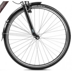 ROMET Wagant RM hebanowo-srebrny 2023