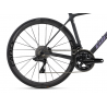Rower szosowy GIANT TCR Advanced SL Disc 0 Raw Carbon 2023