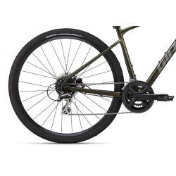 Giant Roam 3 Disc zielony 2023