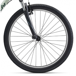 Liv Bliss 26 piaskowy 2023