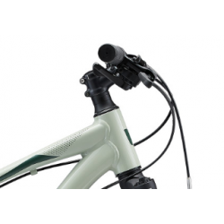 Liv Bliss 26 piaskowy 2023