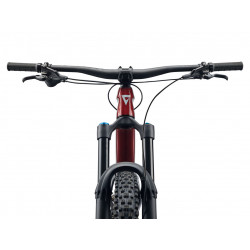 Rower górski GIANT Reign Advanced 2 bordowy 2024