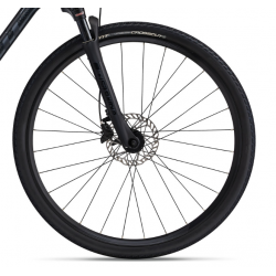 Giant Roam 1 Disc czarny 2023