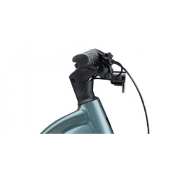 Giant Liv Amiti-E+ Pro Silver Pine 2023