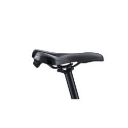 Giant Liv Amiti-E+ Pro Silver Pine 2023