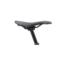 Rower górski Liv Embolden 1 fioletowy 2024