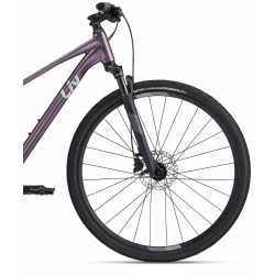 Giant Liv Rove 1 DD fioletowy 2024