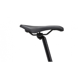 Giant Liv Rove 1 DD fioletowy 2024