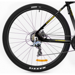 Storm Shark 5.0 hd popiel 2024