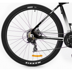 Storm Shark 3.0 biały 2024