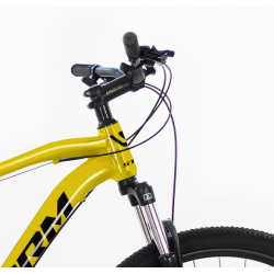 Storm Shark 3.0 hd żółty/granatowy 2024