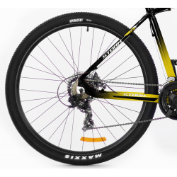 Storm Shark 2.0 żółty 2023