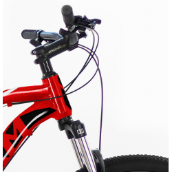 Storm Shark 1.0 czerwony 2024