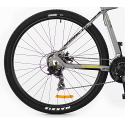 Storm Shark 1.0 popiel 2024