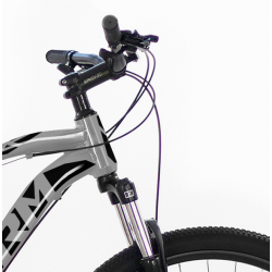 Storm Shark 1.0 popiel 2024